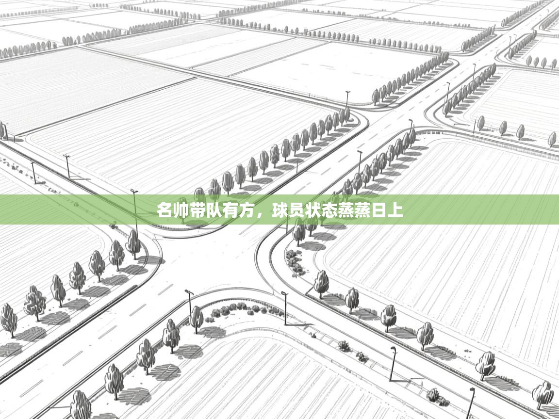 开云体育客服在线咨询-名帅带队有方,球员状态蒸蒸日上  第1张