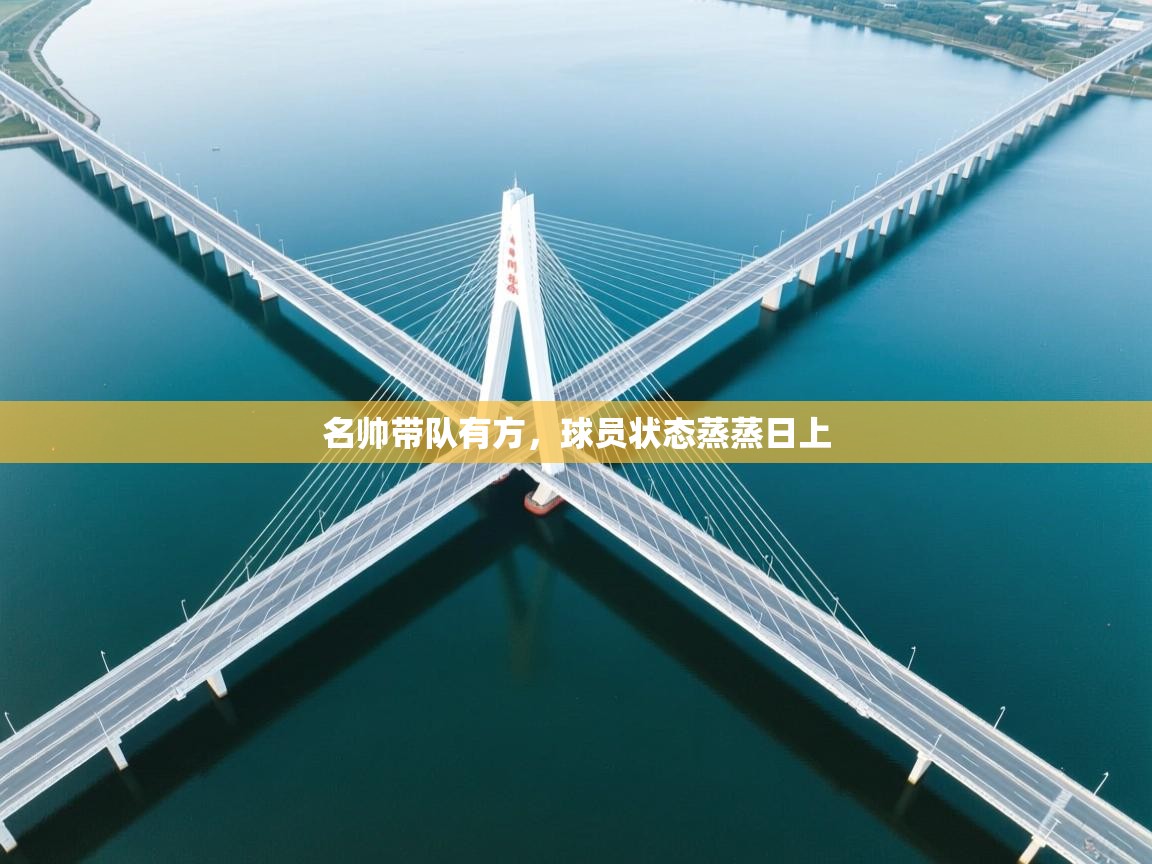 开云体育客服在线咨询-名帅带队有方,球员状态蒸蒸日上  第3张