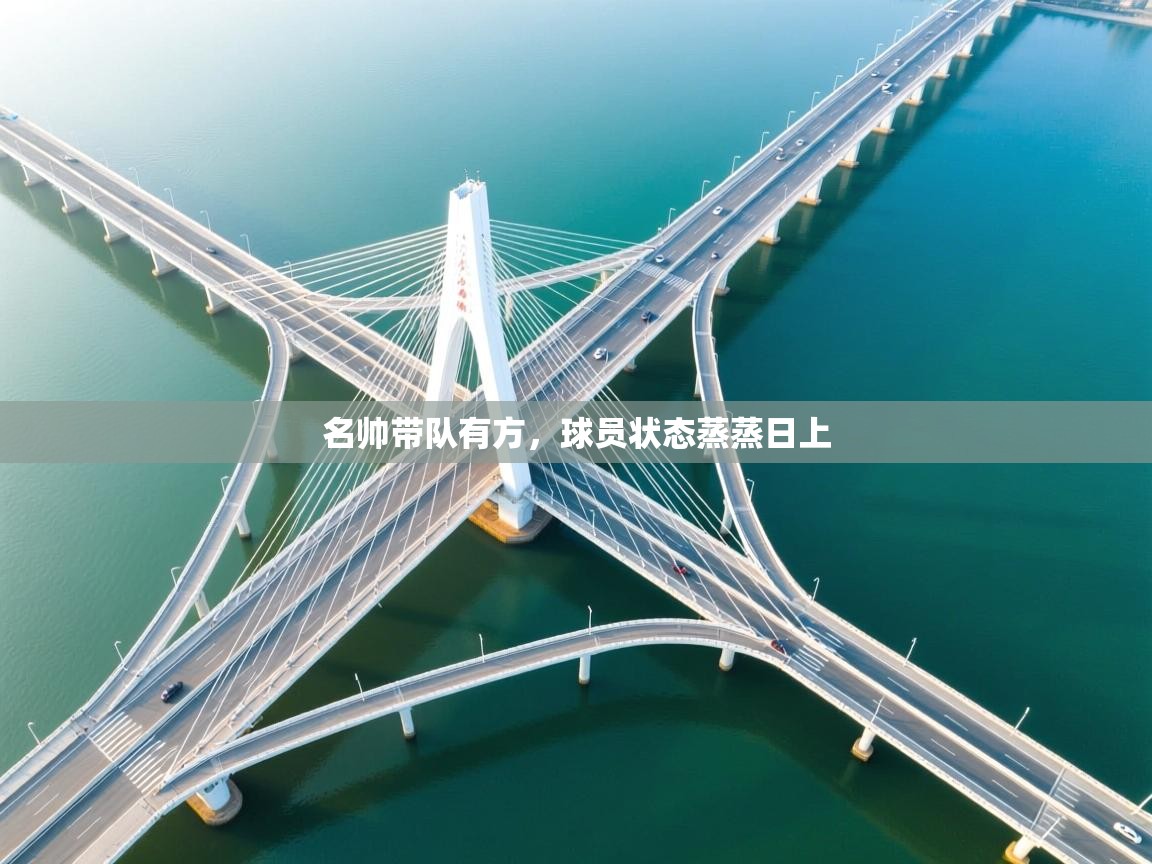 开云体育客服在线咨询-名帅带队有方,球员状态蒸蒸日上  第2张