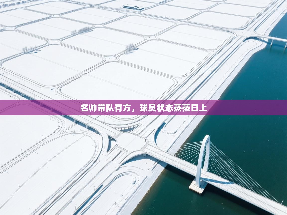 开云体育客服在线咨询-名帅带队有方,球员状态蒸蒸日上  第4张