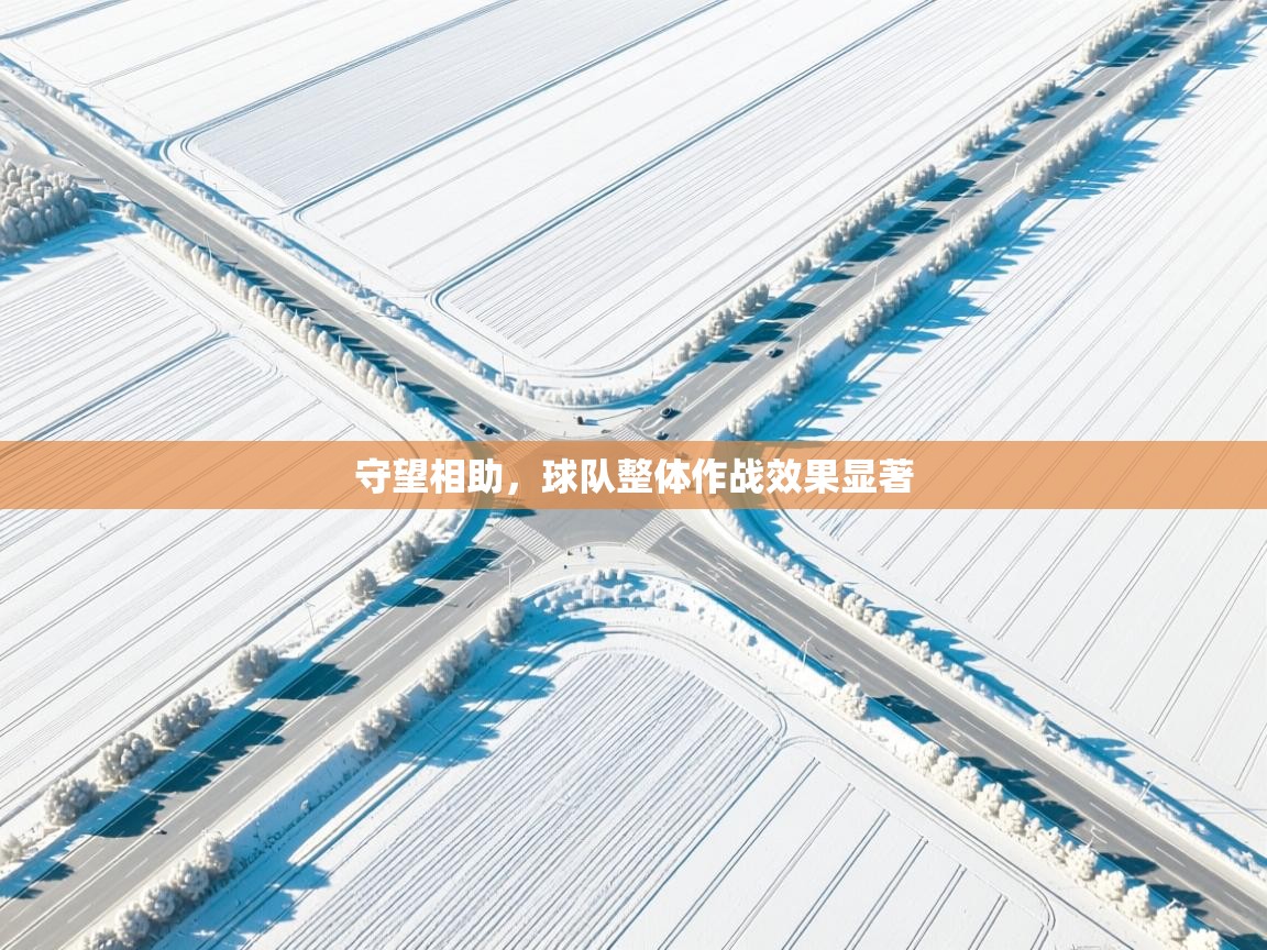 开云体育在线下载-守望相助,球队整体作战效果显著 第1张