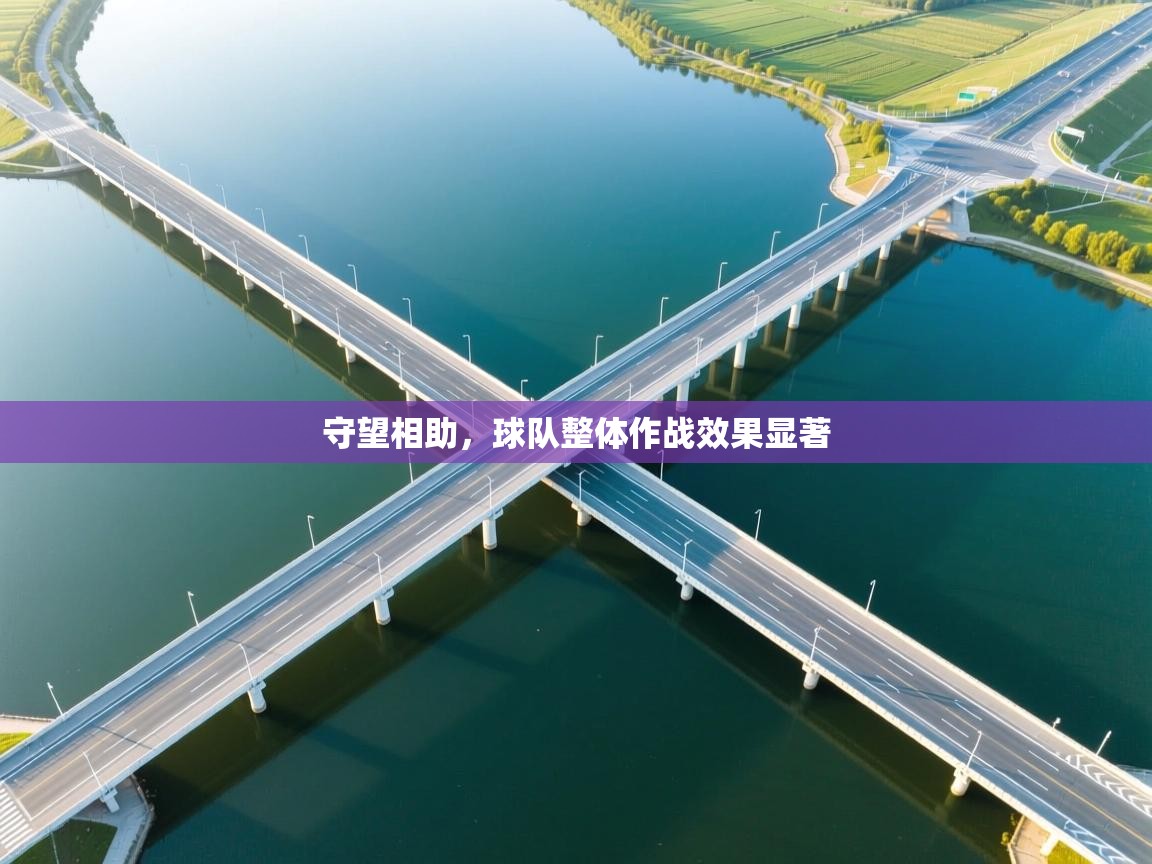 开云体育在线下载-守望相助,球队整体作战效果显著 第4张