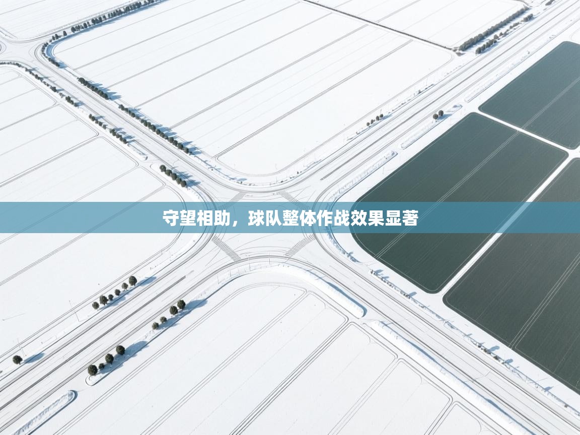 开云体育在线下载-守望相助,球队整体作战效果显著 第3张