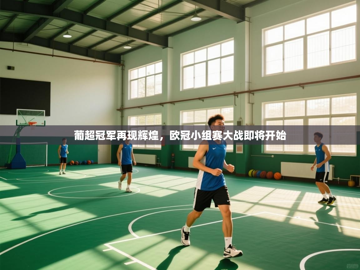 开云·体育app中国官方网站-葡超冠军再现辉煌,欧冠小组赛大战即将开始 第3张