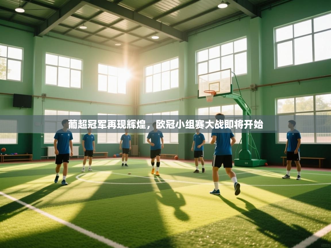 开云·体育app中国官方网站-葡超冠军再现辉煌,欧冠小组赛大战即将开始 第4张